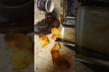 me eating french onion soup from French