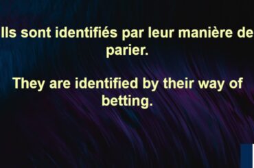 French 7 Minute Languages 134