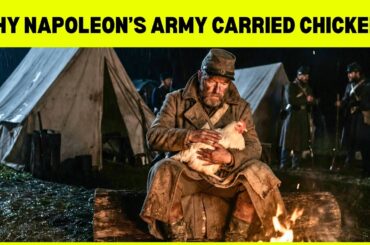 Why Did Napoleon’s Army Carry Live Chickens? The Truth About Napoleonic Logistics!