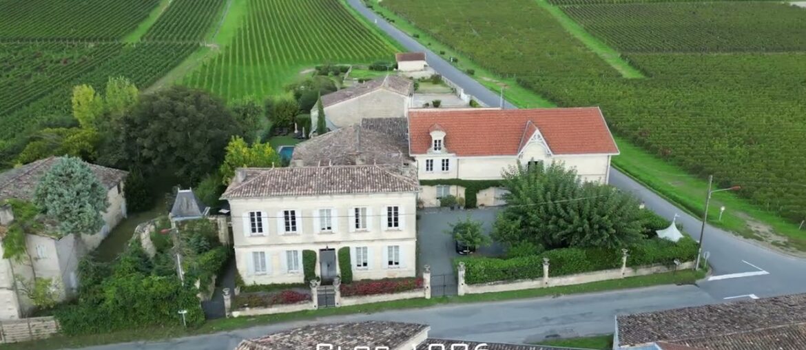 France 2024: Bordeaux Wine Country from Above