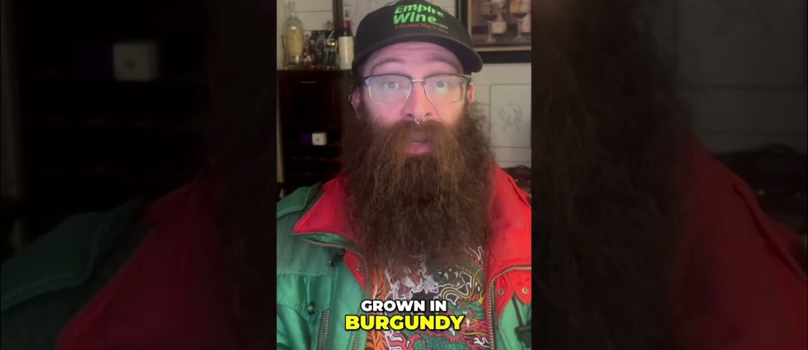 Wine snobs, rejoice! #burgundy in a box #winelover #boxedwine #pinotnoir #france #redwine #french