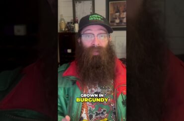 Wine snobs, rejoice! #burgundy in a box #winelover #boxedwine #pinotnoir #france #redwine #french