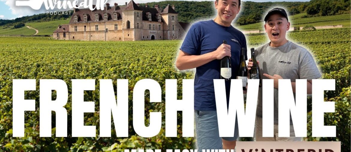Discovering French Wines Made Easy with Vintrepid