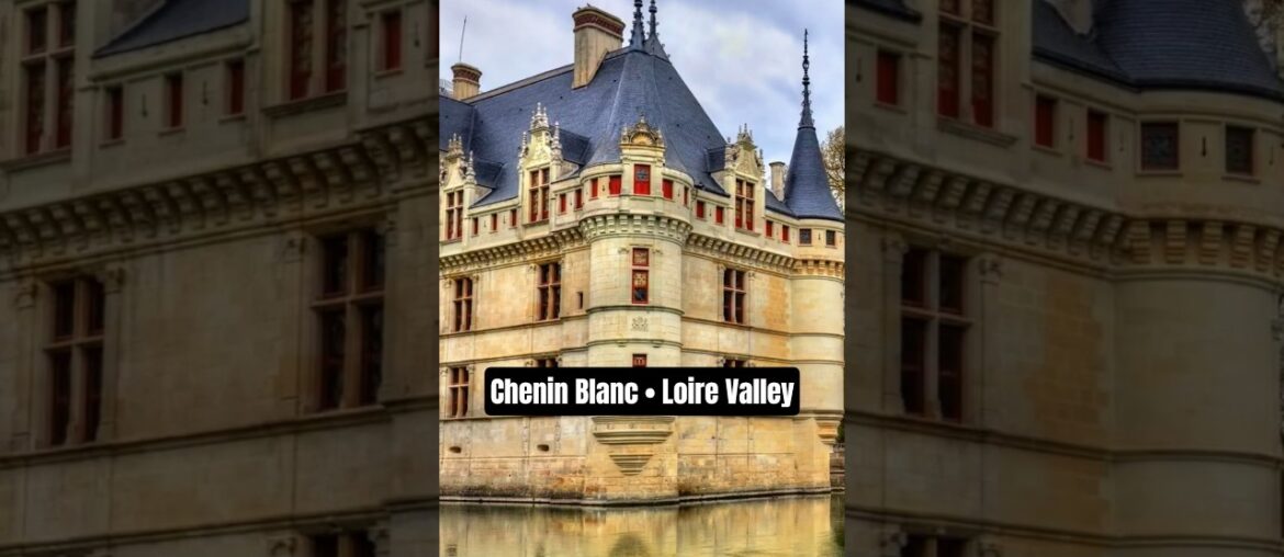 Chenin Blanc in thr Loire Valley. #wine #wineeducation #loirevalley #frenchwine