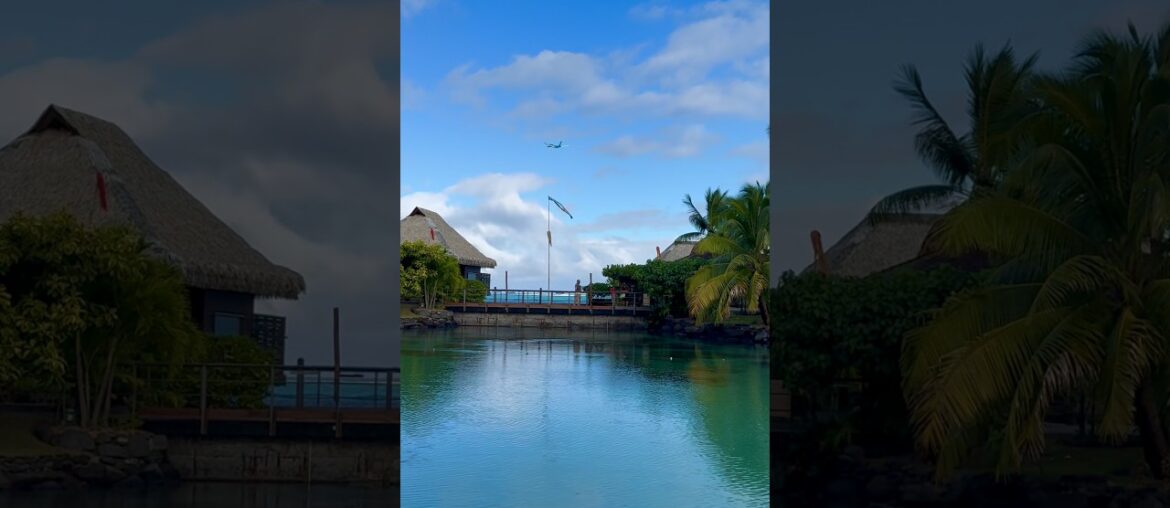 A great transit hotel in Tahiti: InterContinental Tahiti Resort #shorts