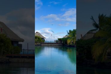 A great transit hotel in Tahiti: InterContinental Tahiti Resort #shorts