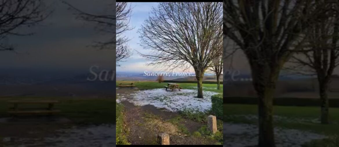 #france #sancerre #wine #vignes #frenchwine #vino #francia #hiver #winter #january #janvier #vin