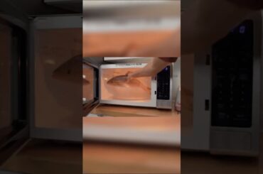 #floridafishing #sharkattack #whatsfordinner #floridakeys #fishing