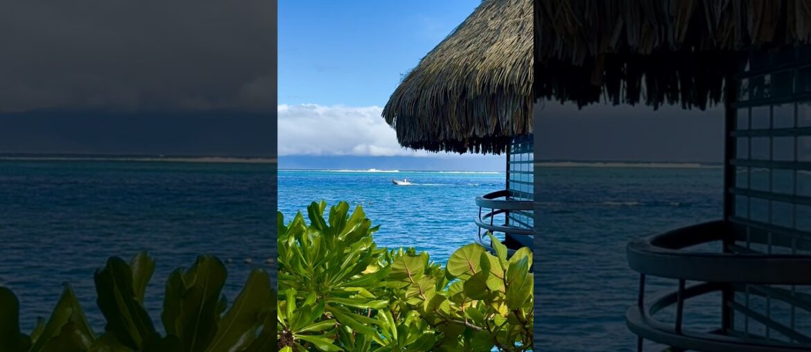 Intercontinental Tahiti’s amazing over the water dining venues #shorts Intercontinental Tahiti’s amazing over the water dining venues #shorts