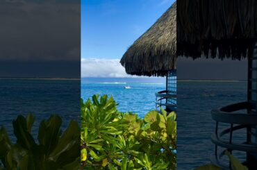 Intercontinental Tahiti’s amazing over the water dining venues #shorts
