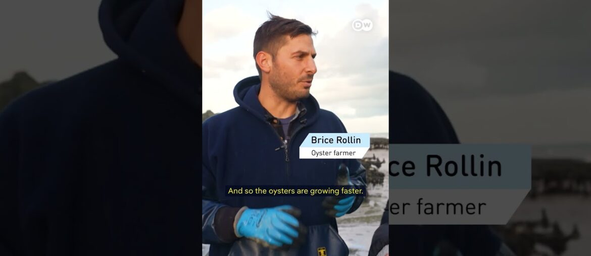 Don’t mix oysters with Red Bull