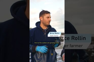 Don’t mix oysters with Red Bull