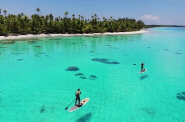Yacht charters in the Tuamotu Archipelago, the Pearl of the South Pacific
