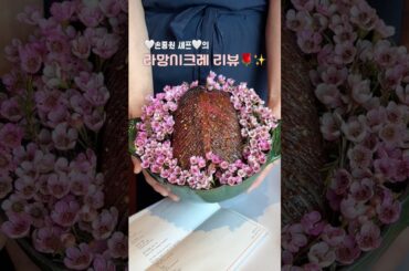 손종원 셰프의 라망시크레 솔직 리뷰🌹🤍미슐랭   원스타 프렌치 파인 다이닝 평일 런치😋