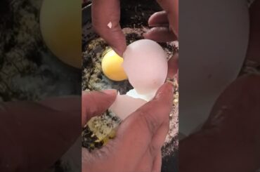 french toast #india #bihar #food #viral #recipe #trending #eggrecipe