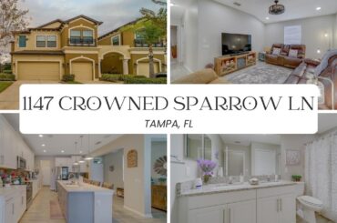 Upgraded 3-Bed Tampa Townhome 🛏️🏡 Loft, Pond Views & Low-Maintenance Living