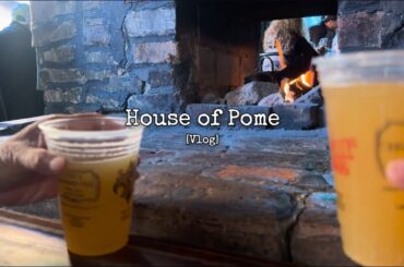 taking my family to new orleans, charbroiled oysters, sezarac house, blacksmith bar, oldest museum