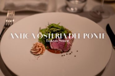 Shoko gourmet : ANTICA OSTERIA DEL PONTE | グルメ編: アンティカ オステリア デルポンテ