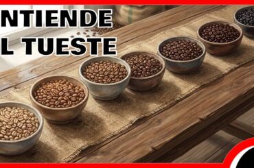 TUESTE de CAFÉ: Del primer CRACK a los 8 perfiles