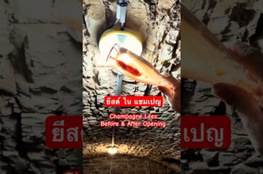 ยีสต์ในแชมเปญก่อน & หลังเปิดขวด |  Champagne Lees Before & After Opening #wineeducation #champagne