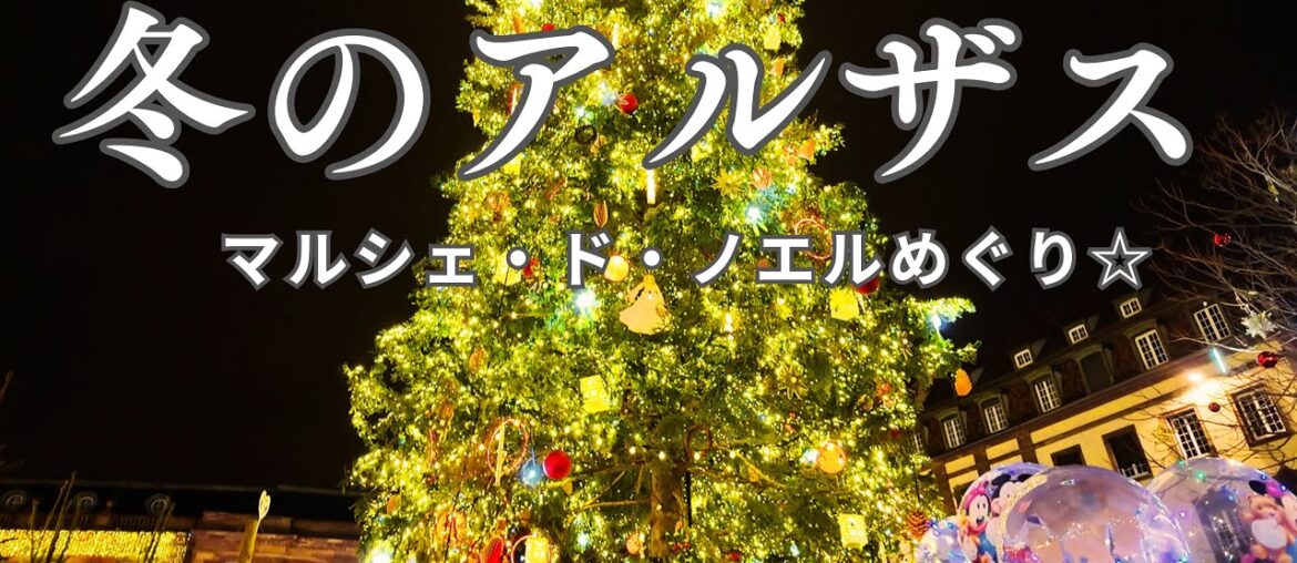 【アルザス】夢のクリスマスマーケット☆｜ストラスブールとワイン街道のノエル前後｜フランス政府公認ガイドikkoと行くアルザスの旅