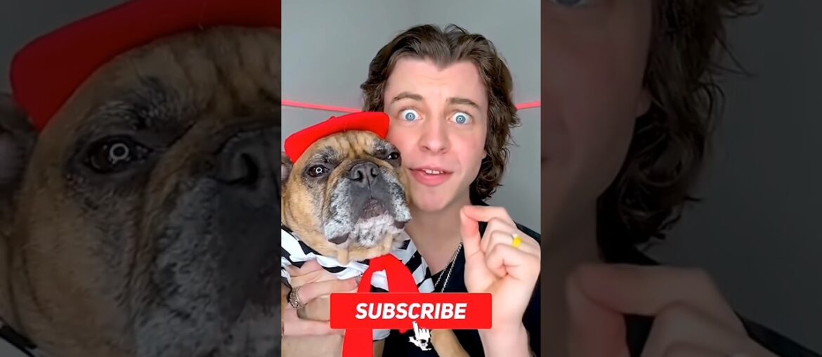 Giant French Food ASMR!? Part 2馃嚝馃嚪馃い#shorts #shortvideos #viralvideos #trendingshorts Giant French Food ASMR!? Part 2馃嚝馃嚪馃い#shorts #shortvideos #viralvideos #trendingshorts