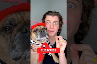 Giant French Food ASMR!? Part 2🇫🇷🤤#shorts #shortvideos #viralvideos #trendingshorts