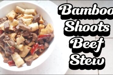 Bamboo shoots beef stew【Ragoût de bœuf avec pousses de bamboo 】