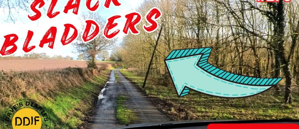 SLACK FRENCH ELECTRICITY BOARD! #276