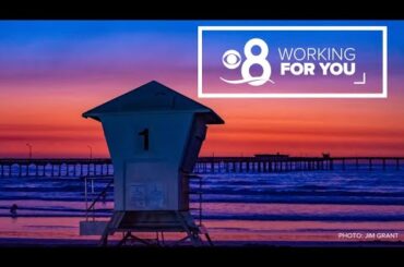 Working For You | Stories from the San Diego Community
