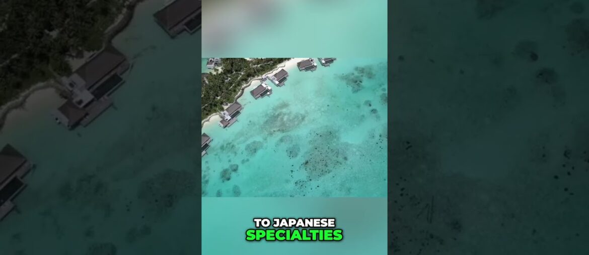 Cheval Blanc Rangeli: French & Japanese Dining Bliss #shorts