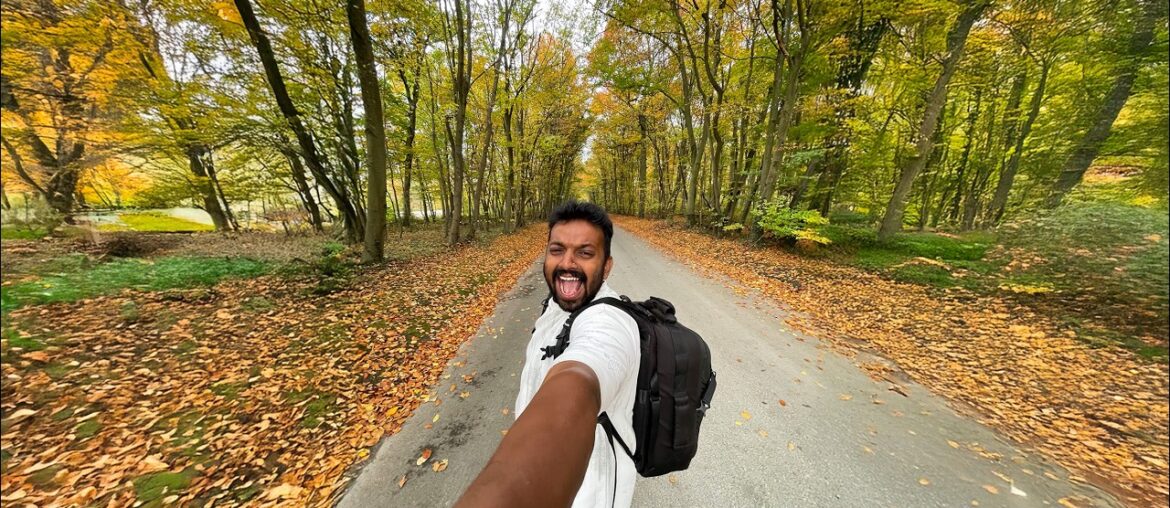 AUTUMN in PARIS | FRENCH PALACE | Hyper Funda AUTUMN in PARIS | FRENCH PALACE | Hyper Funda