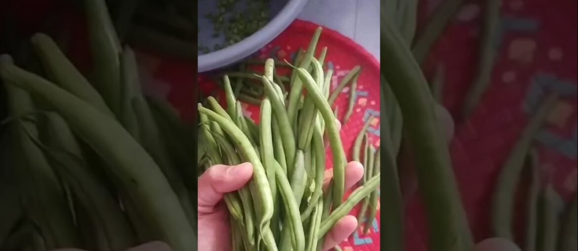 French Beans recipe 🥰😍#shorts #viralshorts #viralvideo #shortsvideo #cooking #beans #french