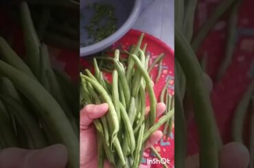 French Beans recipe 🥰😍#shorts #viralshorts #viralvideo #shortsvideo #cooking #beans #french