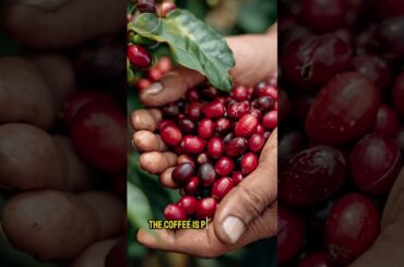 How It’s Made: Coffee Manufacturing Process #shorts