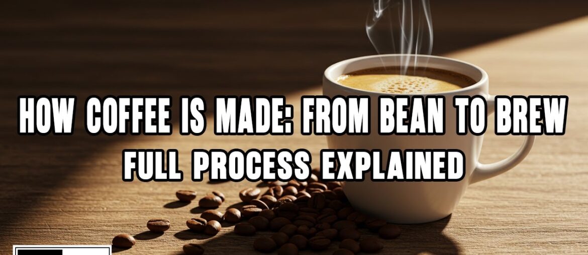 How Coffee Is Made | From Bean to Brew – Inside the Coffee Production Process How Coffee Is Made | From Bean to Brew – Inside the Coffee Production Process