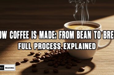How Coffee Is Made | From Bean to Brew – Inside the Coffee Production Process