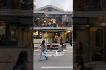 용리단길 신상 카페, 왜 다들 여기만 가는지 알았다. The New Hot Café in Yongridan-gil — Now I See Why Everyone Comes Here