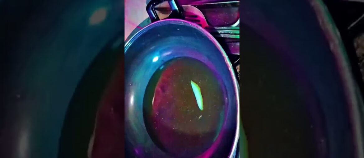 French fries recipe 😋😋😋😋