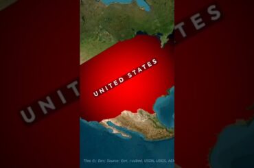 The Global Wine War: USA vs. France 🇫🇷🇺🇸 #usa #trump #shortsyoutube