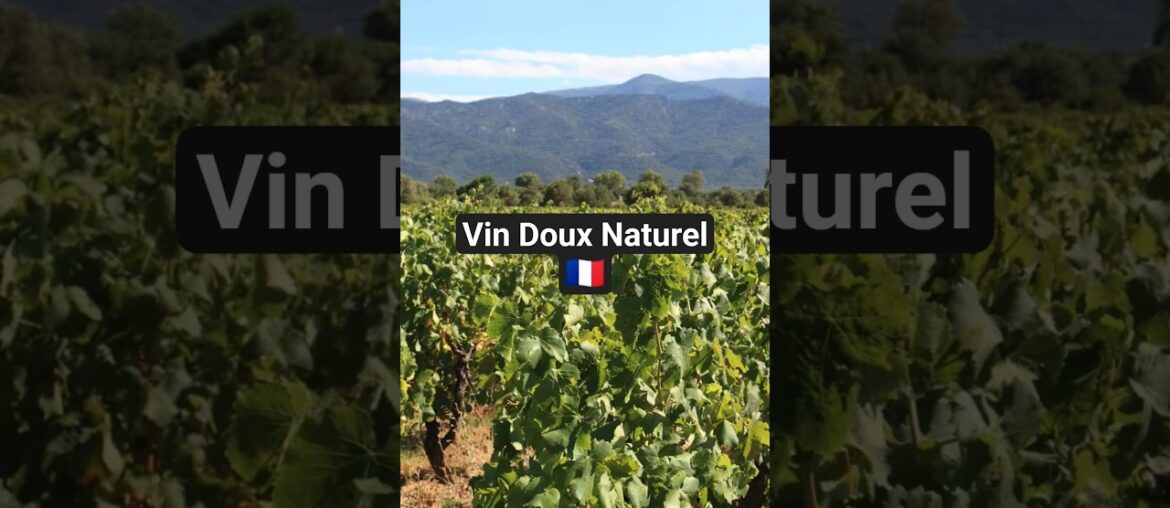 Vin Doux Naturel from France. #wine #wineeducation #frenchwine