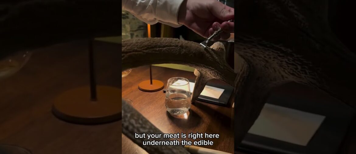 Chef Vaughan takes “Wild Dining” to a whole new level 🛸 Chef Vaughan takes "Wild Dining" to a whole new level 🛸