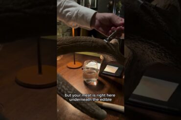 Chef Vaughan takes "Wild Dining" to a whole new level 🛸