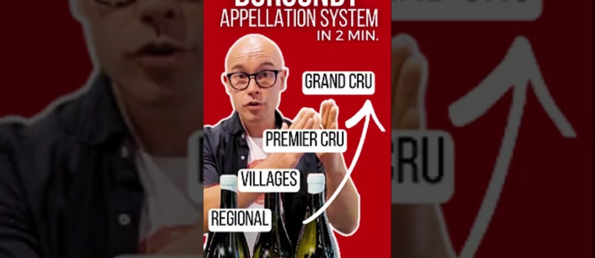Burgundy’s Appellations Explained in 2 minutes (Bourgogne to Grand Cru) #wine #wset