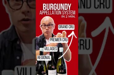 Burgundy’s Appellations Explained in 2 minutes (Bourgogne to Grand Cru) #wine #wset