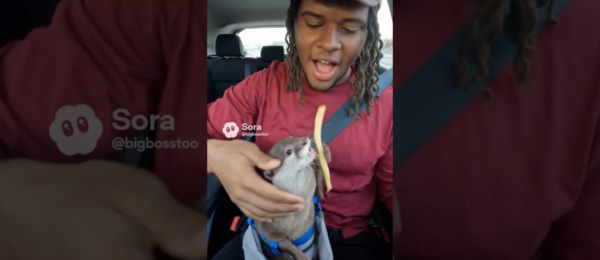 Giving my baby otter  french fries 🍟 #viral #foodie #otter #funny #comedy #funnyvideos