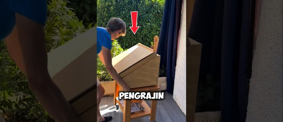 Rahia Memasak Tanpa Asap dan Emisi #shorts