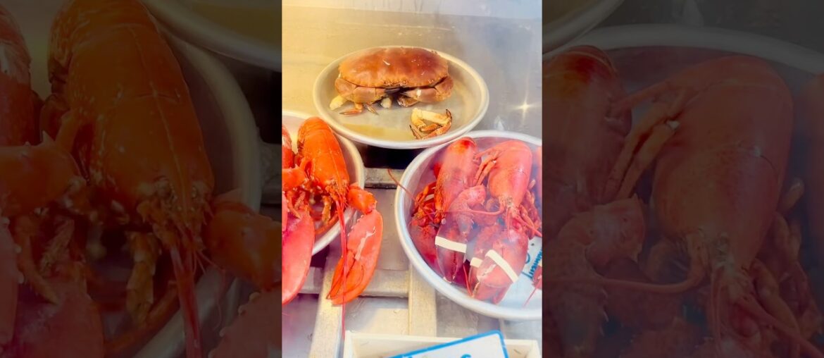 Café de Bretagne French song at French seafood restaurant in Düsseldorf