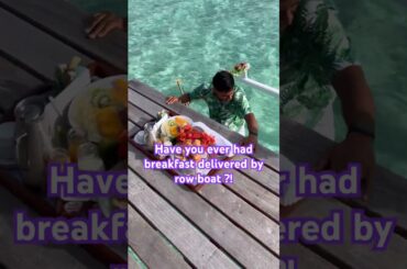 $1000 overwater bungalow in bora bora ! #tahiti #travel #food #foodie #borabora