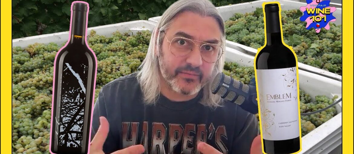 Mondavi Part IV Explained: Napa Drama, Family Conflict, & a French Baron | Wine 101